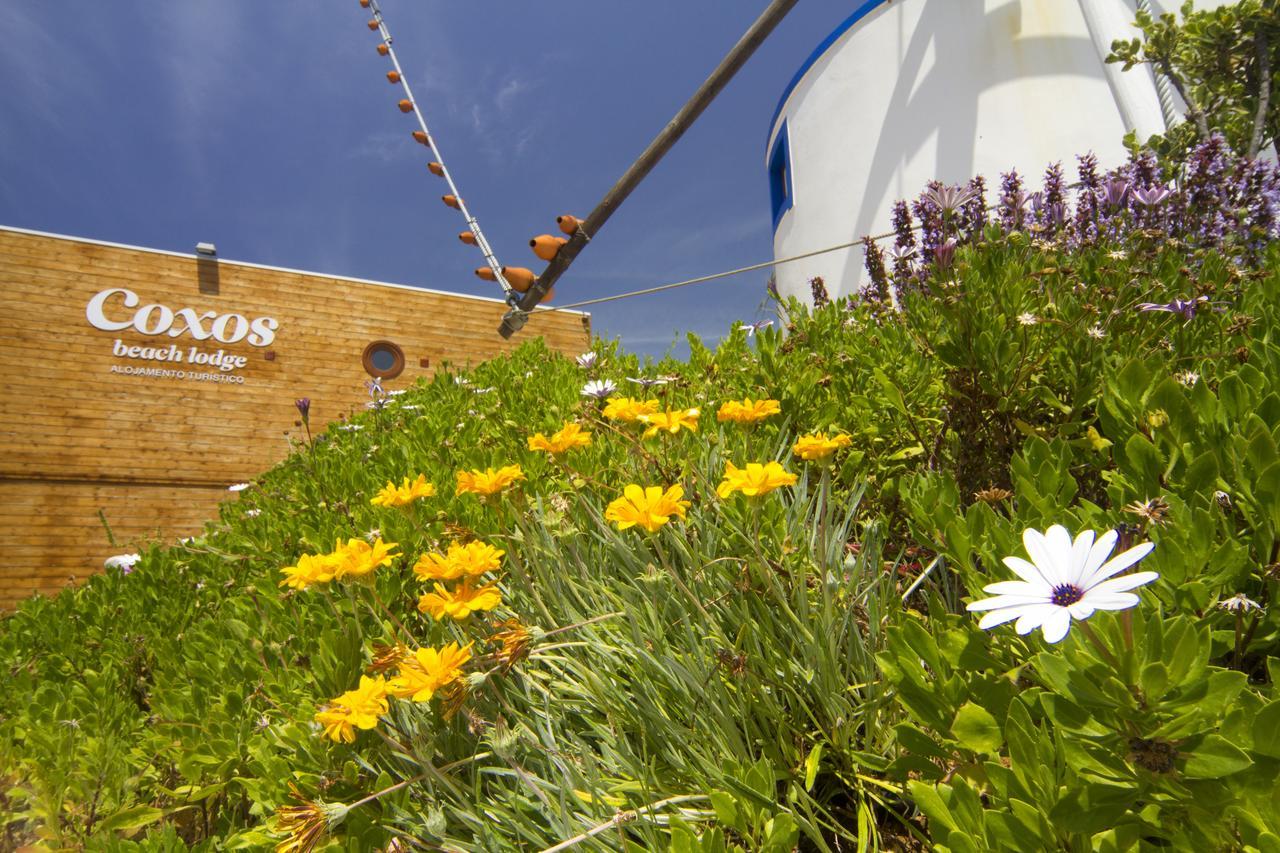 Coxos Beach Lodge Мафра Екстериор снимка